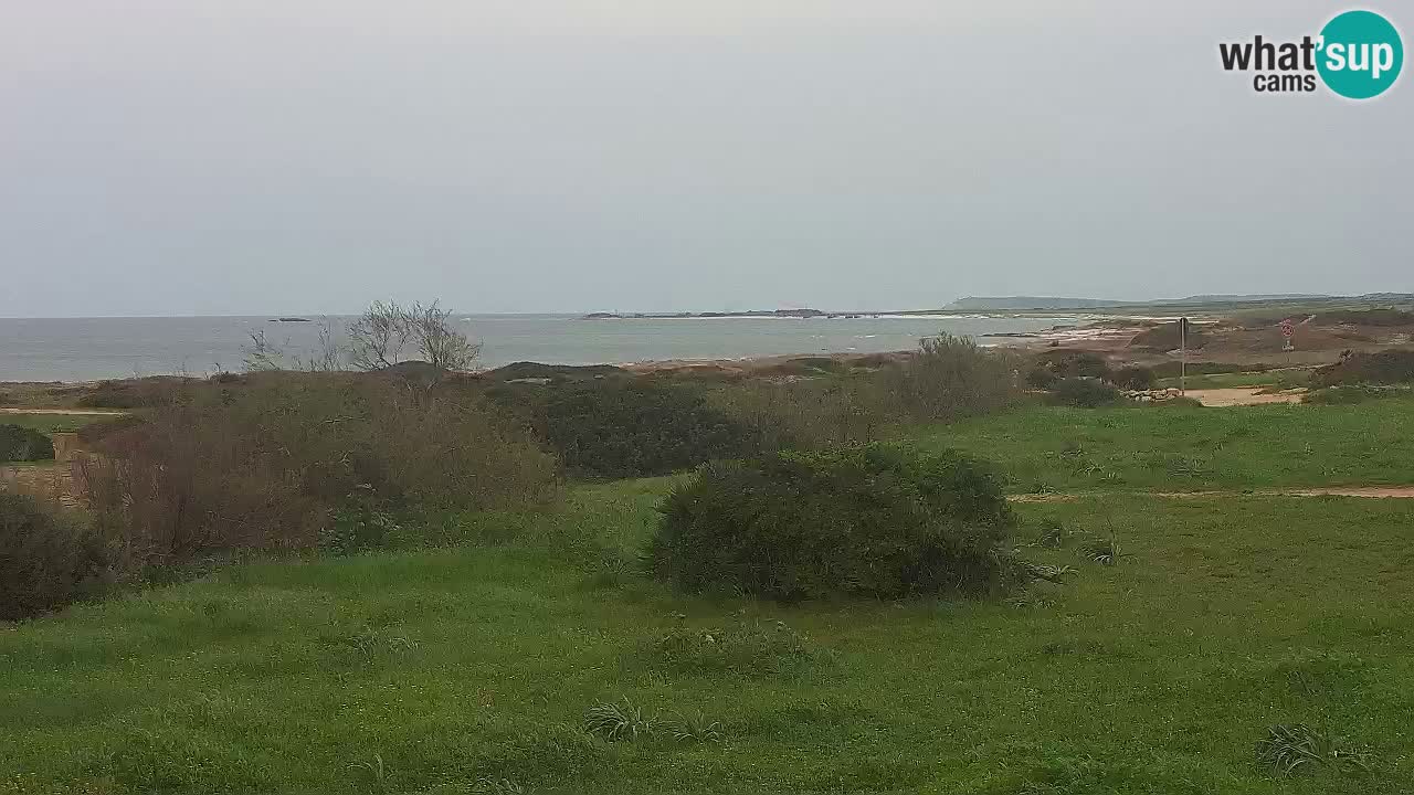 Plaža Mari Ermi | Is Arutas – Oristano