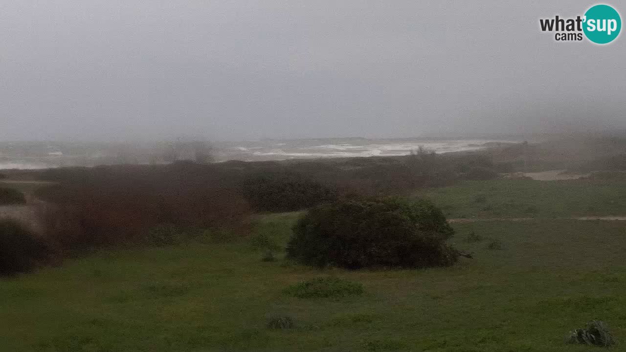 Playa Mari Ermi | Is Arutas – Oristano