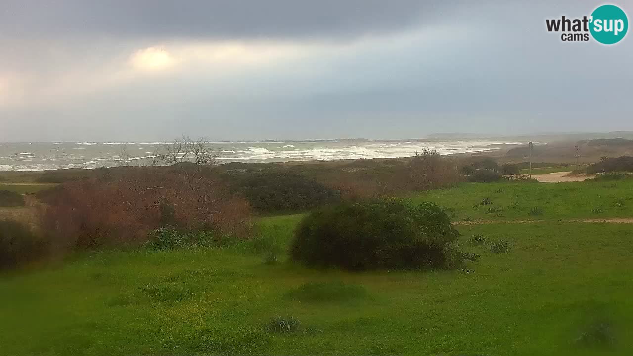 Playa Mari Ermi | Is Arutas – Oristano