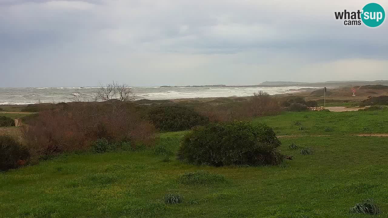 Plaža Mari Ermi | Is Arutas – Oristano