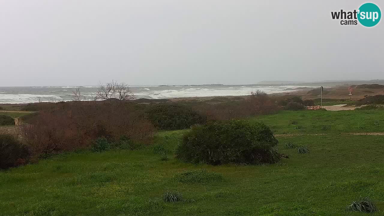 Plaža Mari Ermi | Is Arutas – Oristano