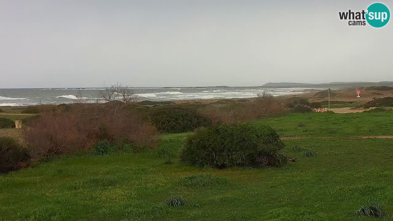 Plaža Mari Ermi | Is Arutas – Oristano