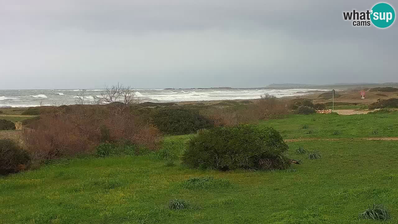 Plage Mari Ermi | Is Arutas – Oristano