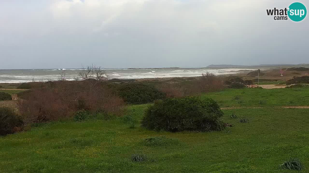 Mari Ermi beach | Is Arutas – Oristano