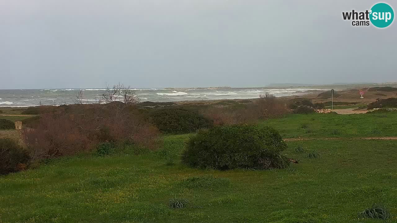 Plaža Mari Ermi | Is Arutas – Oristano