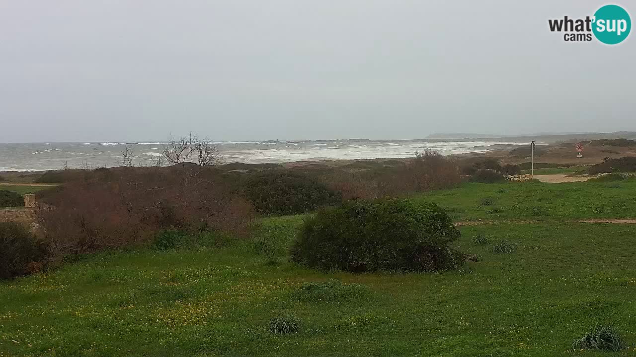 Plaža Mari Ermi | Is Arutas – Oristano