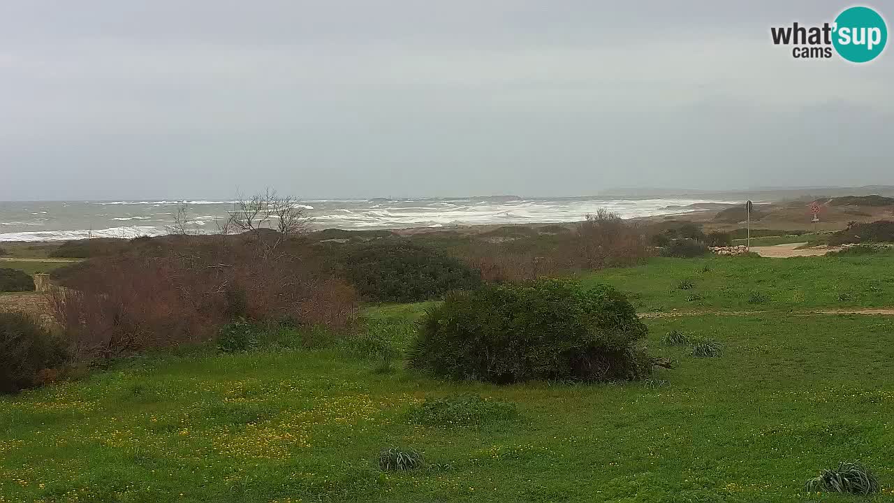 Mari Ermi beach | Is Arutas – Oristano