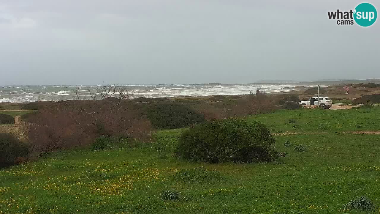 Plage Mari Ermi | Is Arutas – Oristano