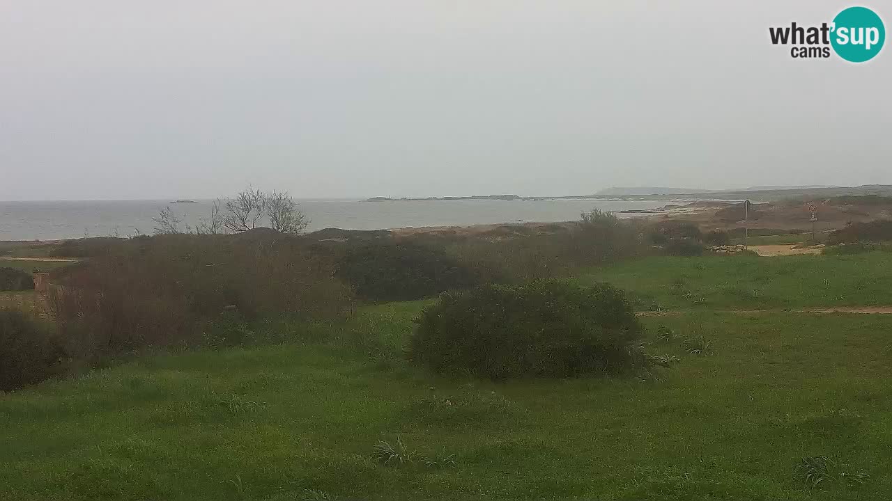 Plaža Mari Ermi | Is Arutas – Oristano