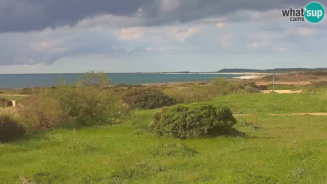 Spiaggia Mari Ermi | Is Arutas – Oristano