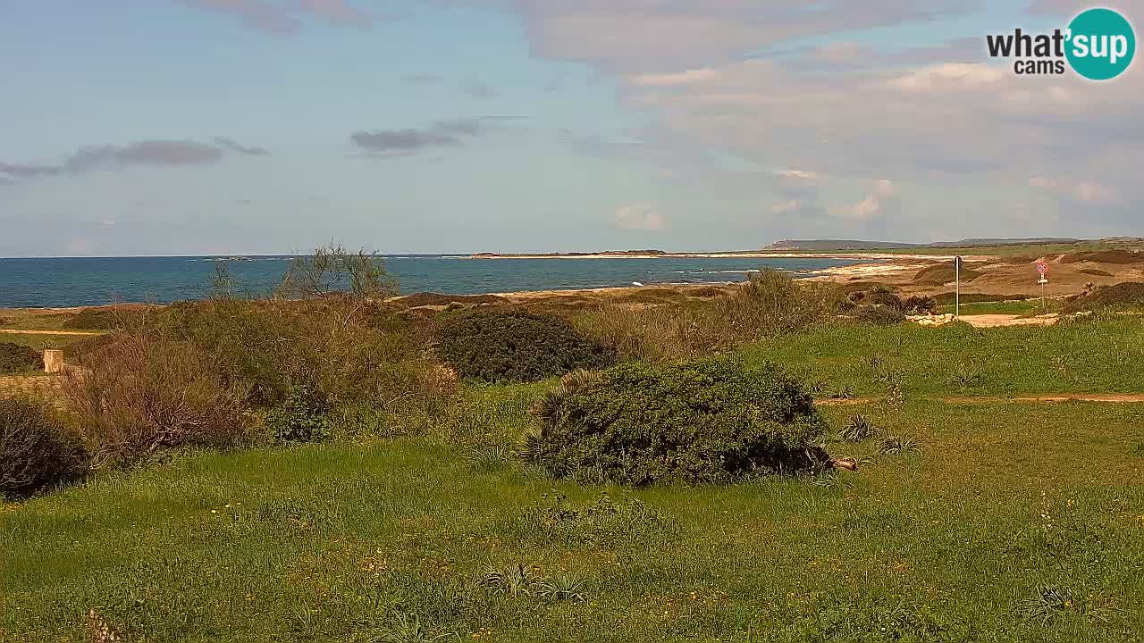 Playa Mari Ermi | Is Arutas – Oristano