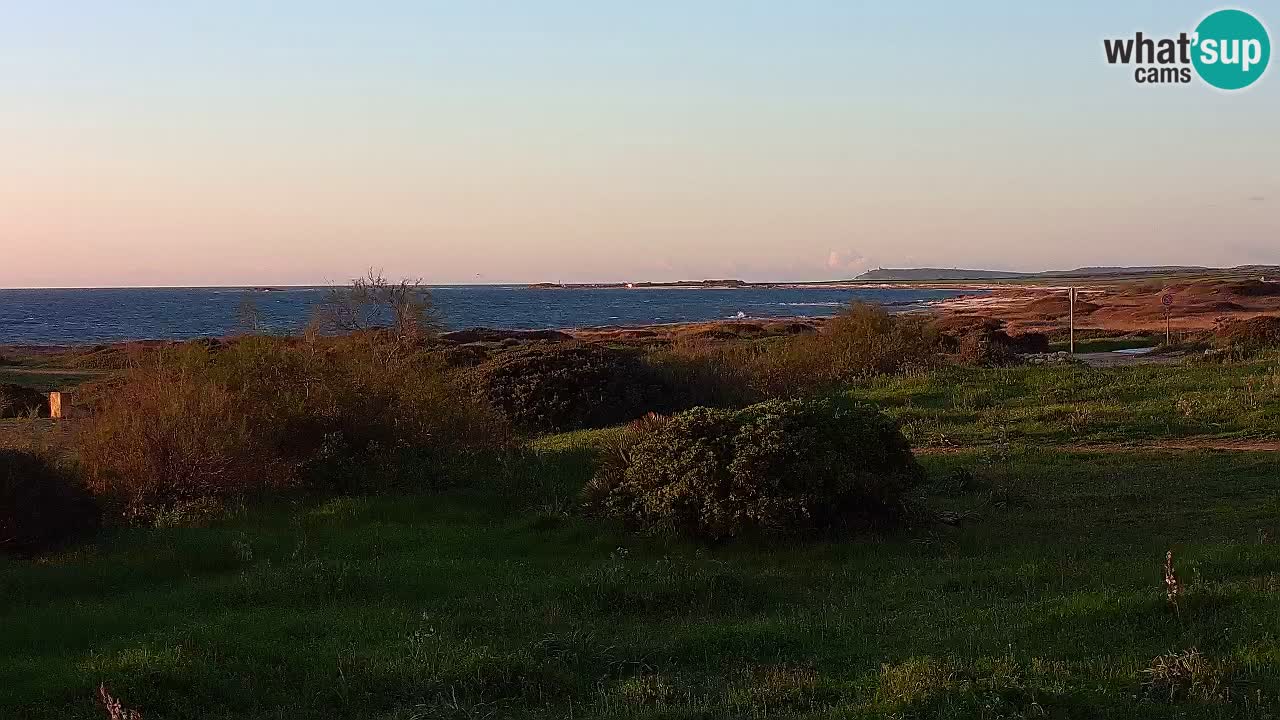 Plage Mari Ermi | Is Arutas – Oristano