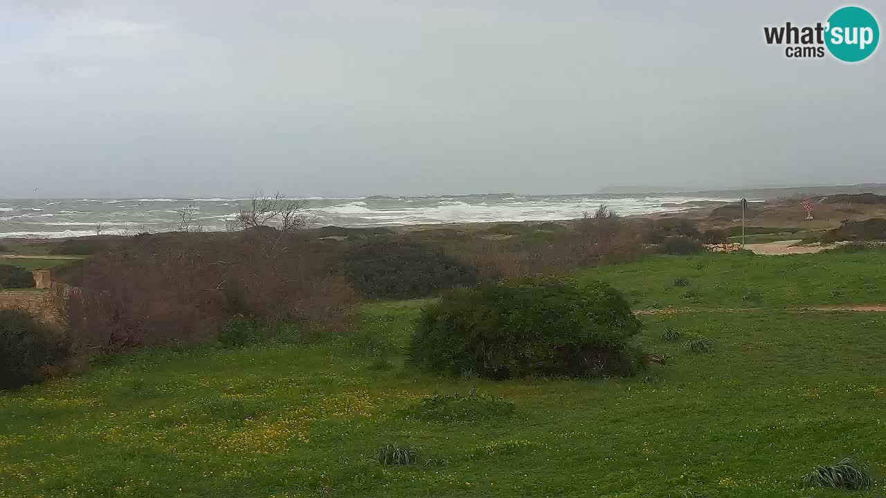 Mari Ermi beach | Is Arutas – Oristano