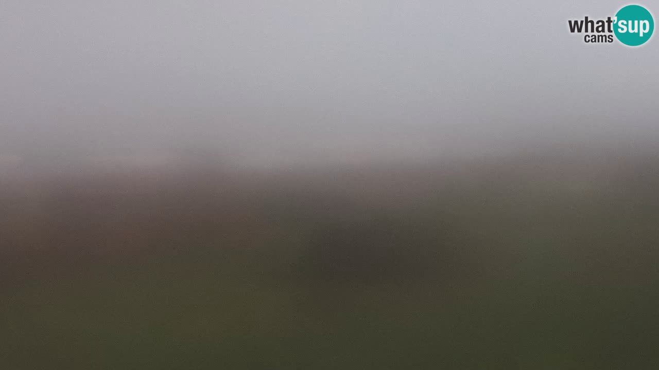 Plaža Mari Ermi | Is Arutas – Oristano