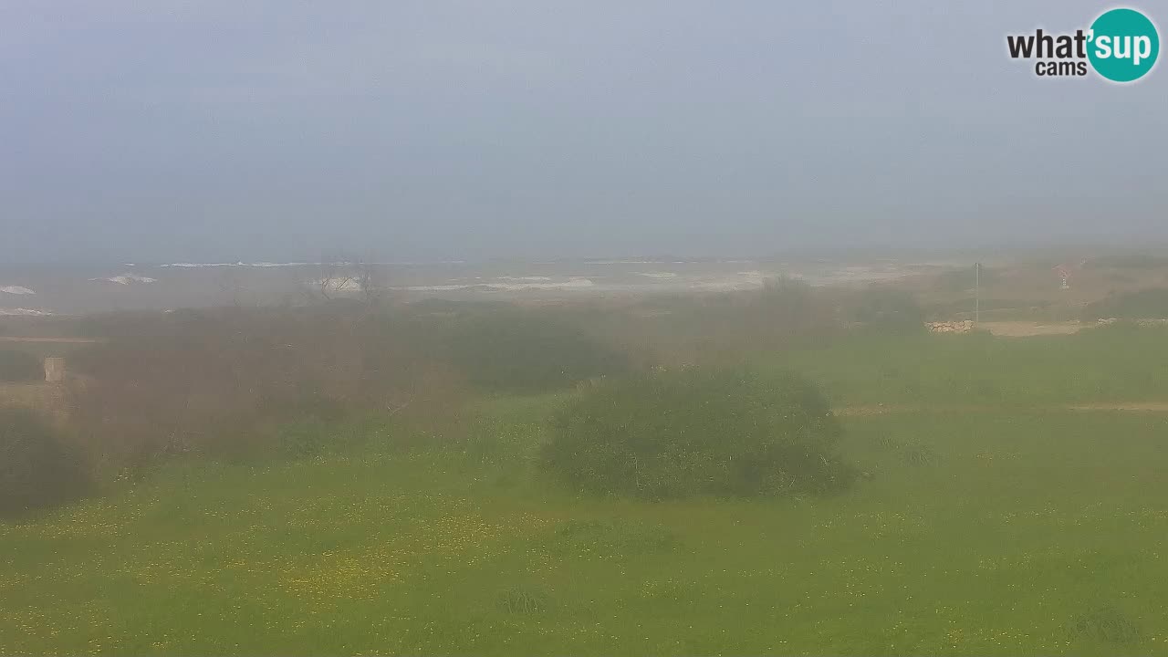 Mari Ermi Strand | Is Arutas – Oristano