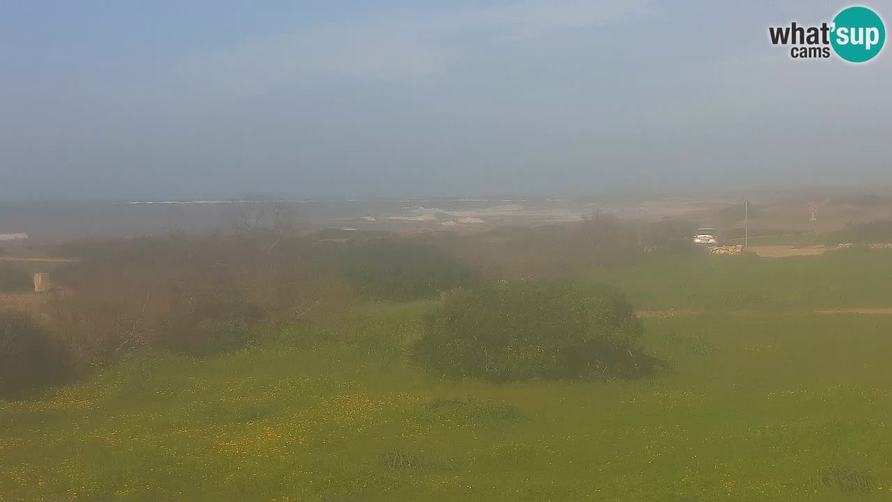 Mari Ermi Strand | Is Arutas – Oristano