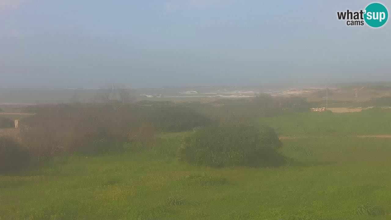 Mari Ermi Strand | Is Arutas – Oristano