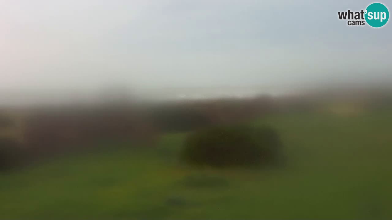 Plage Mari Ermi | Is Arutas – Oristano