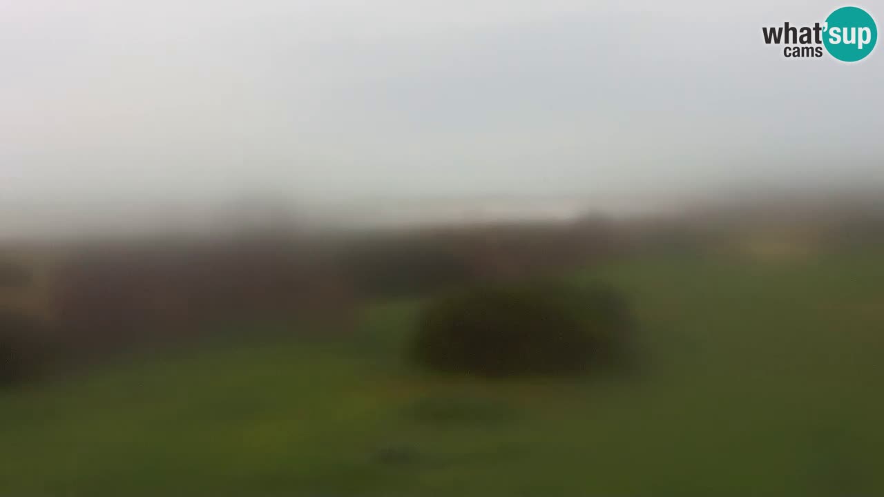 Spiaggia Mari Ermi | Is Arutas – Oristano