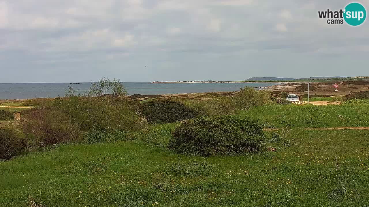 Mari Ermi beach | Is Arutas – Oristano