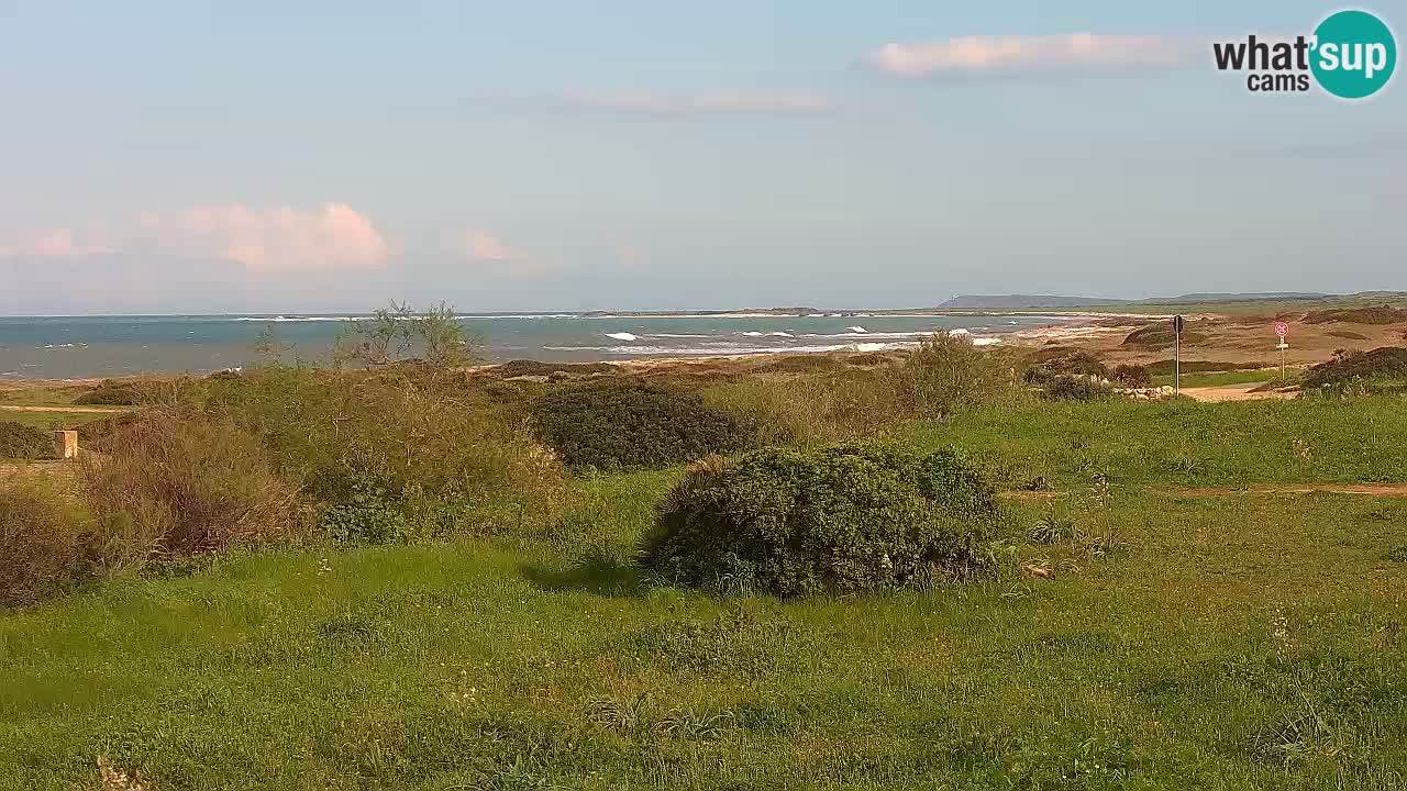 Mari Ermi Strand | Is Arutas – Oristano