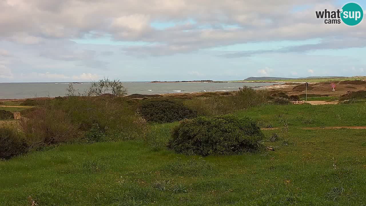 Mari Ermi Strand | Is Arutas – Oristano