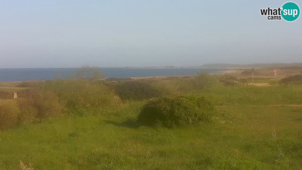 Plaža Mari Ermi | Is Arutas – Oristano