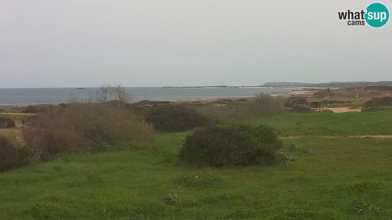Spiaggia Mari Ermi | Is Arutas – Oristano
