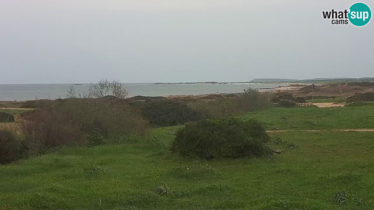 Mari Ermi beach | Is Arutas – Oristano