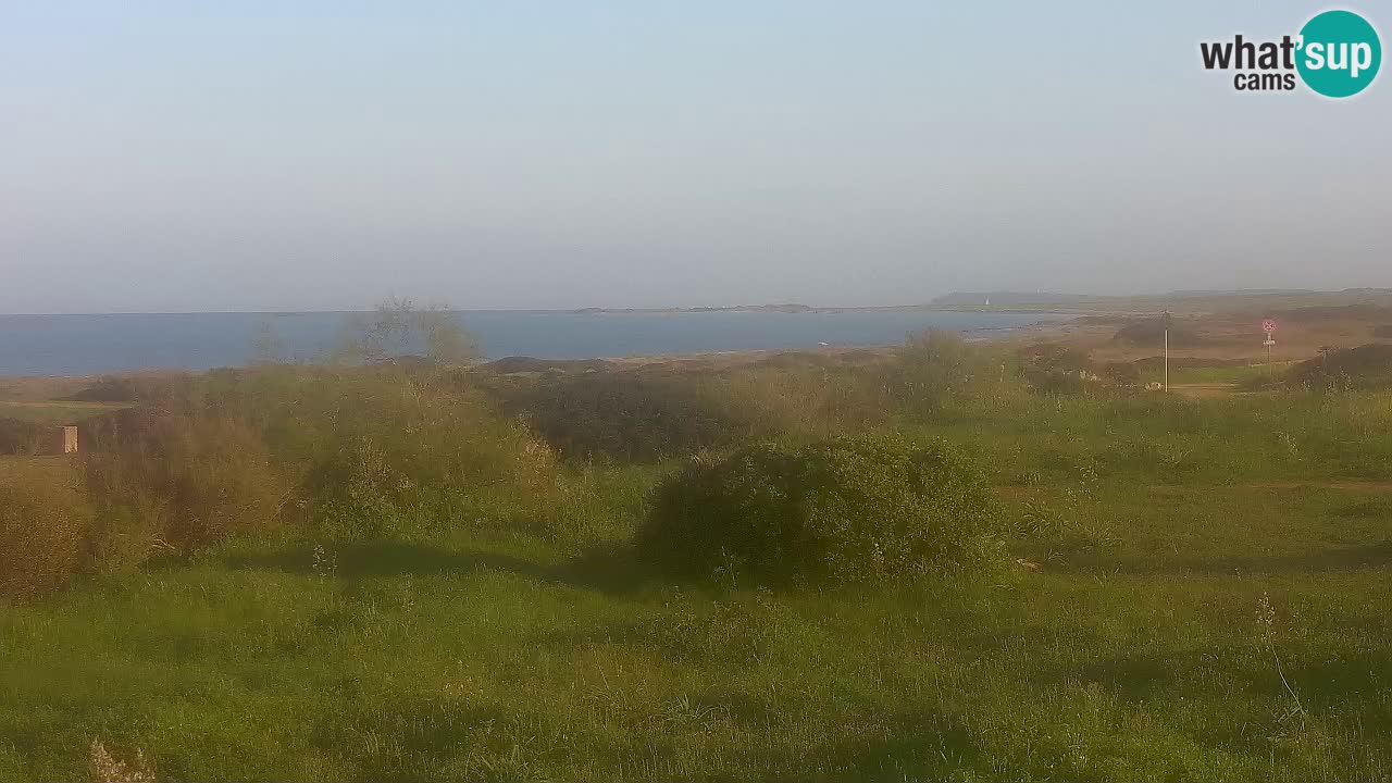 Mari Ermi Strand | Is Arutas – Oristano