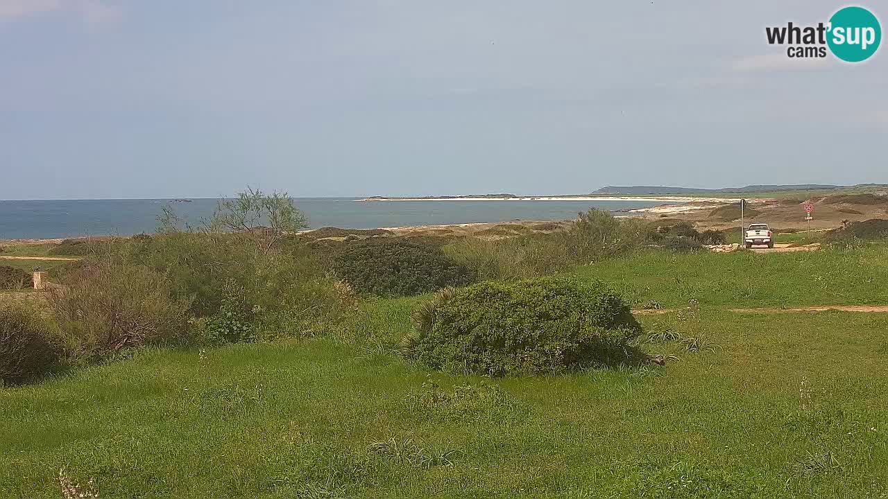 Spiaggia Mari Ermi | Is Arutas – Oristano