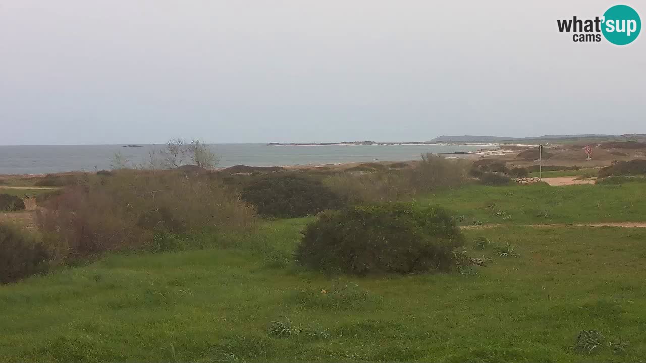 Mari Ermi beach | Is Arutas – Oristano