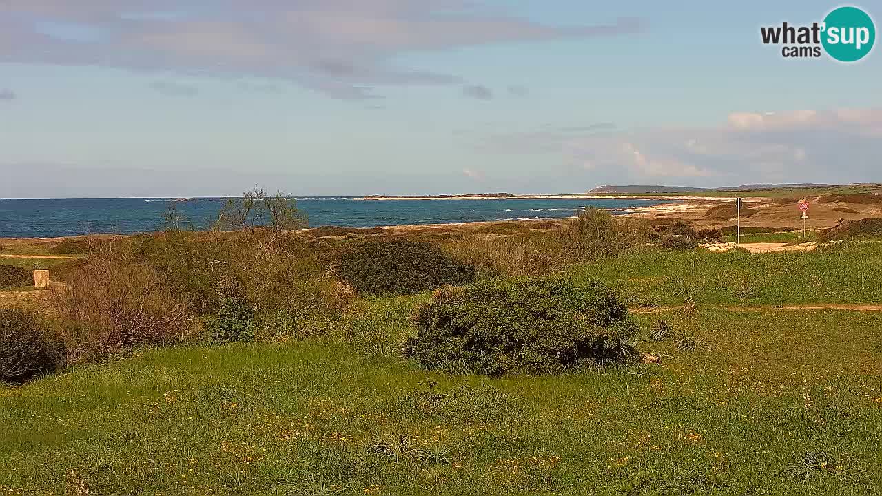 Spiaggia Mari Ermi | Is Arutas – Oristano