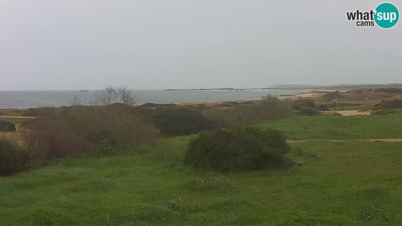 Playa Mari Ermi | Is Arutas – Oristano