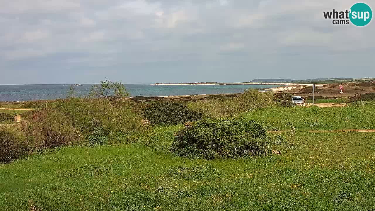 Playa Mari Ermi | Is Arutas – Oristano