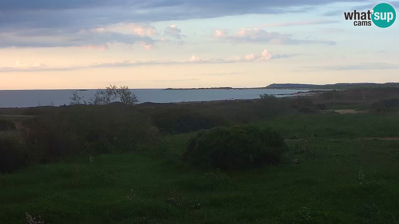 Playa Mari Ermi | Is Arutas – Oristano