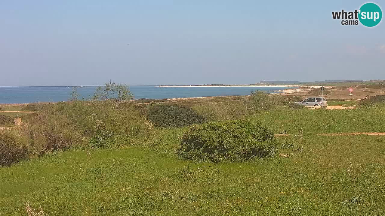 Spiaggia Mari Ermi | Is Arutas – Oristano