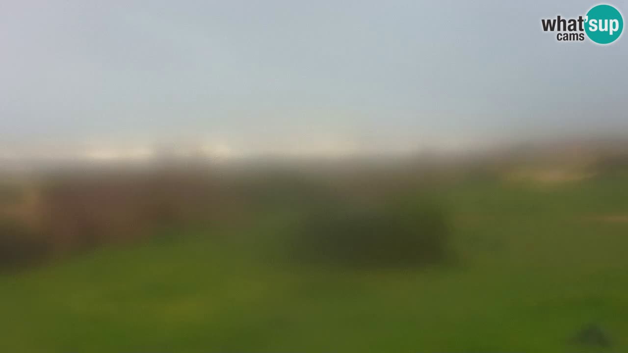 Plaža Mari Ermi | Is Arutas – Oristano