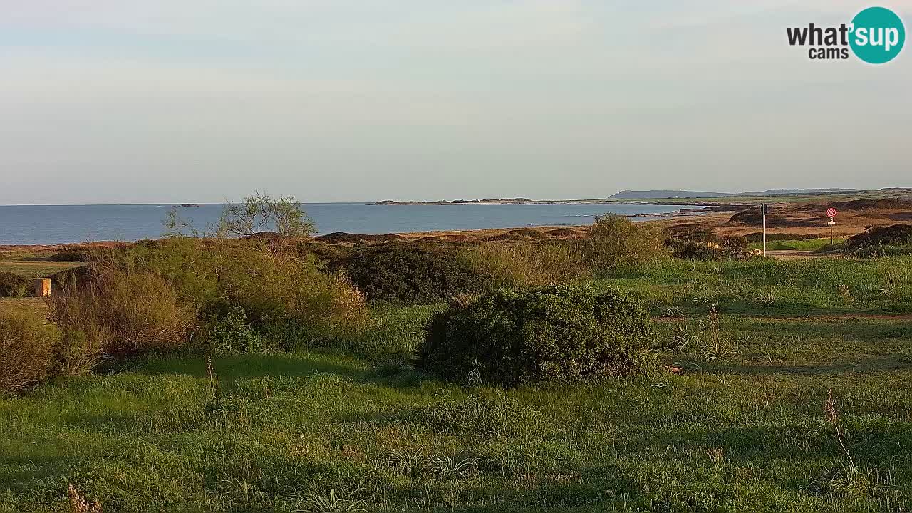 Spiaggia Mari Ermi | Is Arutas – Oristano