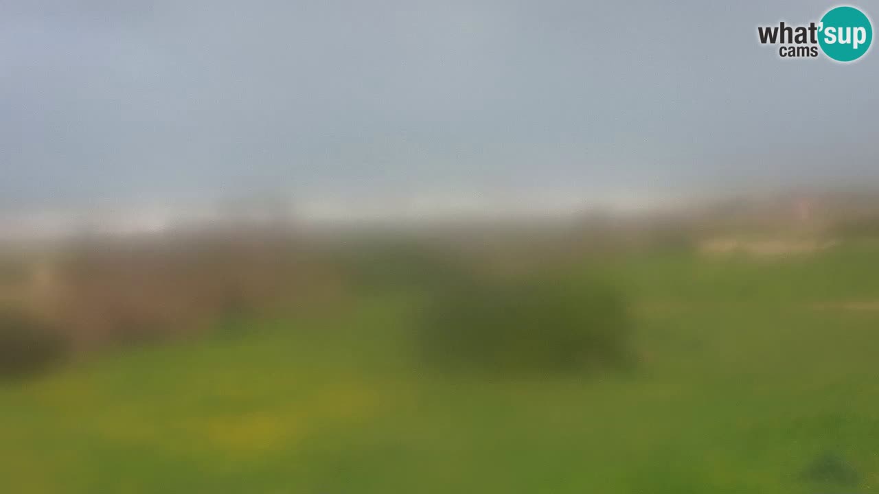 Mari Ermi beach | Is Arutas – Oristano