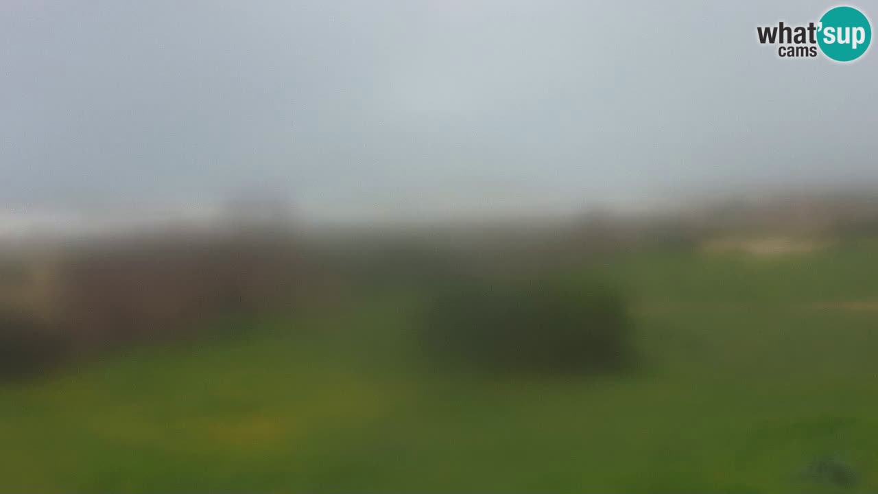 Plaža Mari Ermi | Is Arutas – Oristano