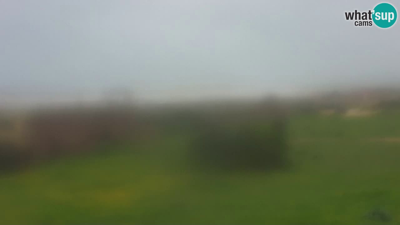 Mari Ermi Strand | Is Arutas – Oristano