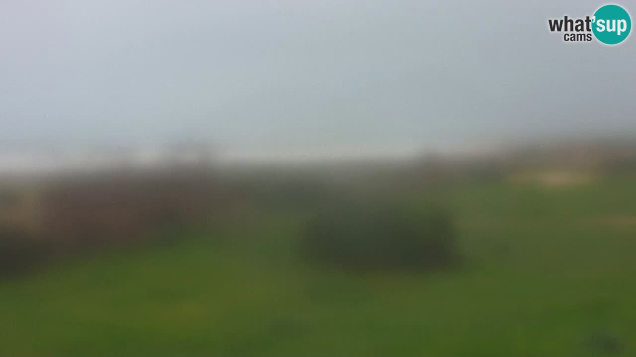 Playa Mari Ermi | Is Arutas – Oristano