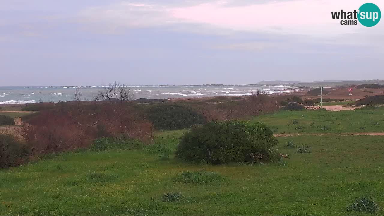 Mari Ermi beach | Is Arutas – Oristano