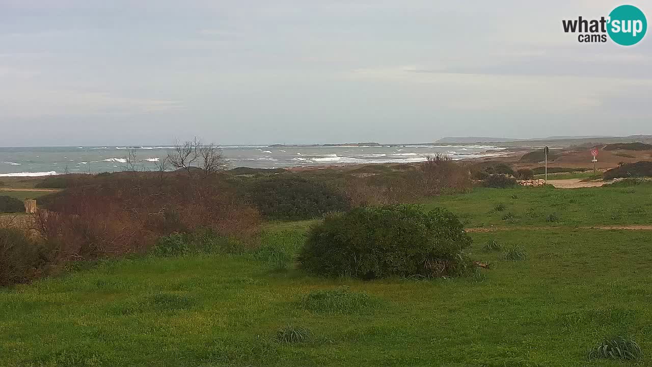 Plage Mari Ermi | Is Arutas – Oristano