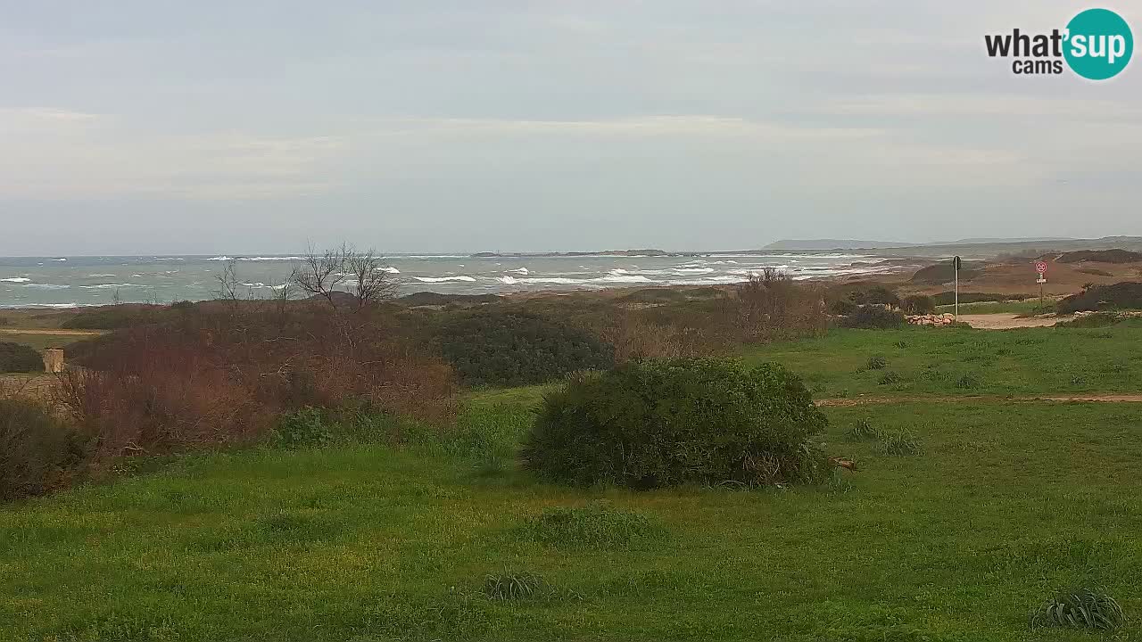 Plage Mari Ermi | Is Arutas – Oristano