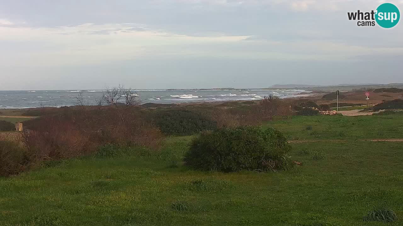 Plaža Mari Ermi | Is Arutas – Oristano