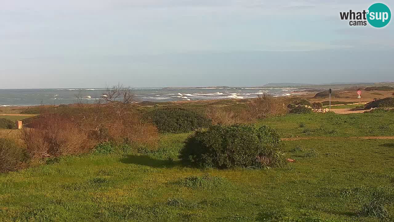 Plage Mari Ermi | Is Arutas – Oristano