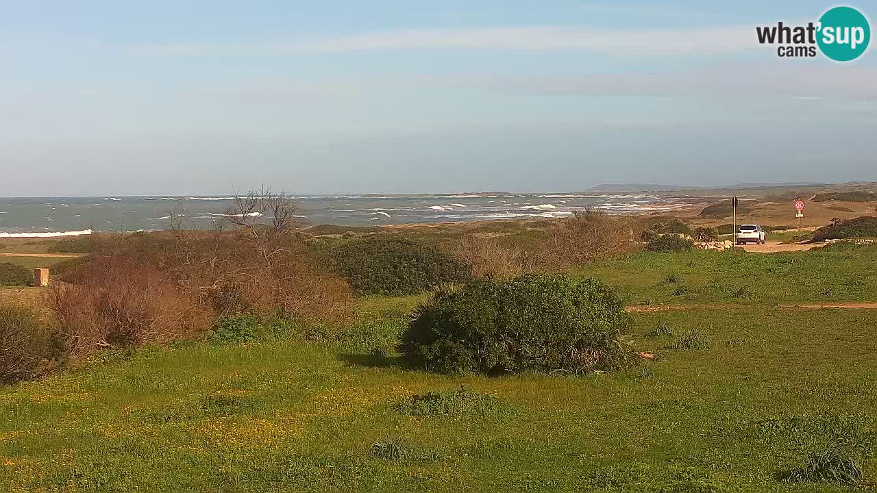 Mari Ermi Strand | Is Arutas – Oristano