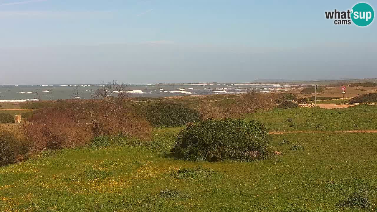 Plaža Mari Ermi | Is Arutas – Oristano